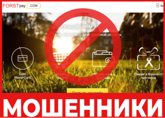 Forst Pay лицевая сторона скрин