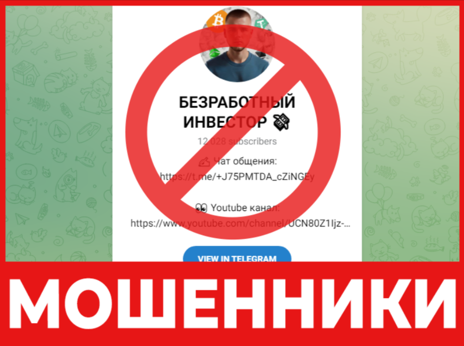 Безработный Инвестор - лицевая сторона скрин