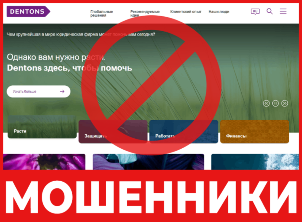 Dentons лицевая сторона скрин