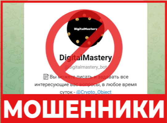 DigitalMastery лицевая сторона скрин 