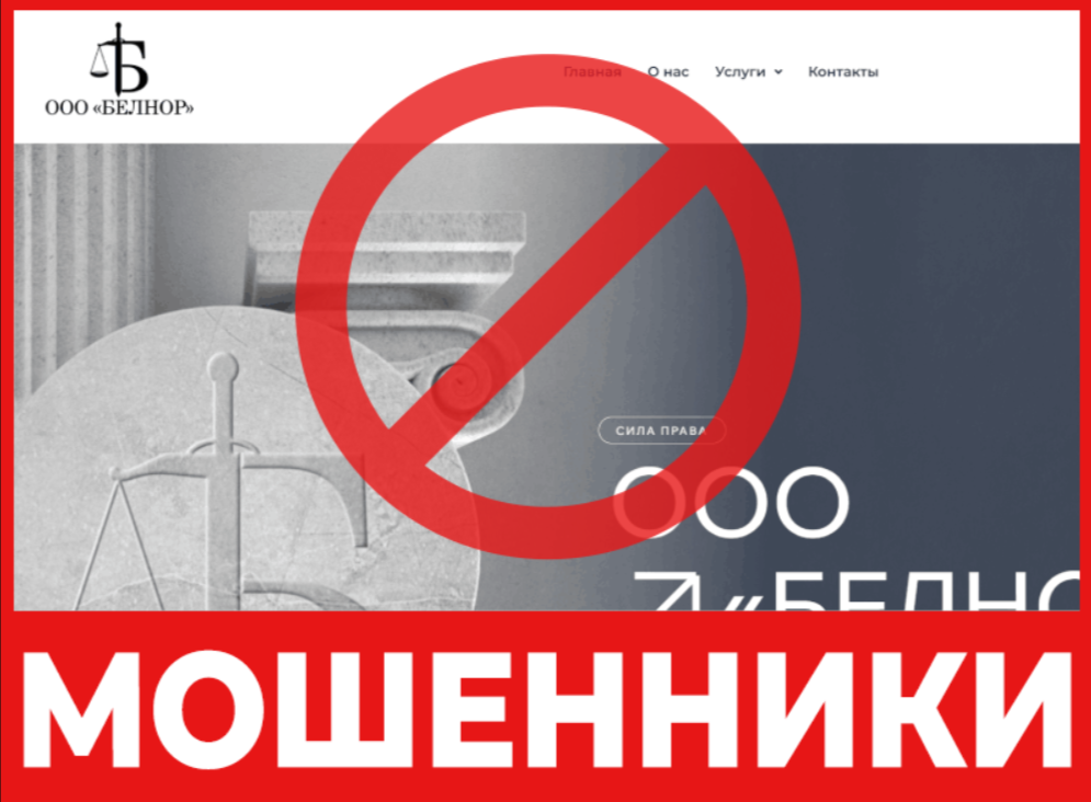ООО Белнор лицевая сторона скрин