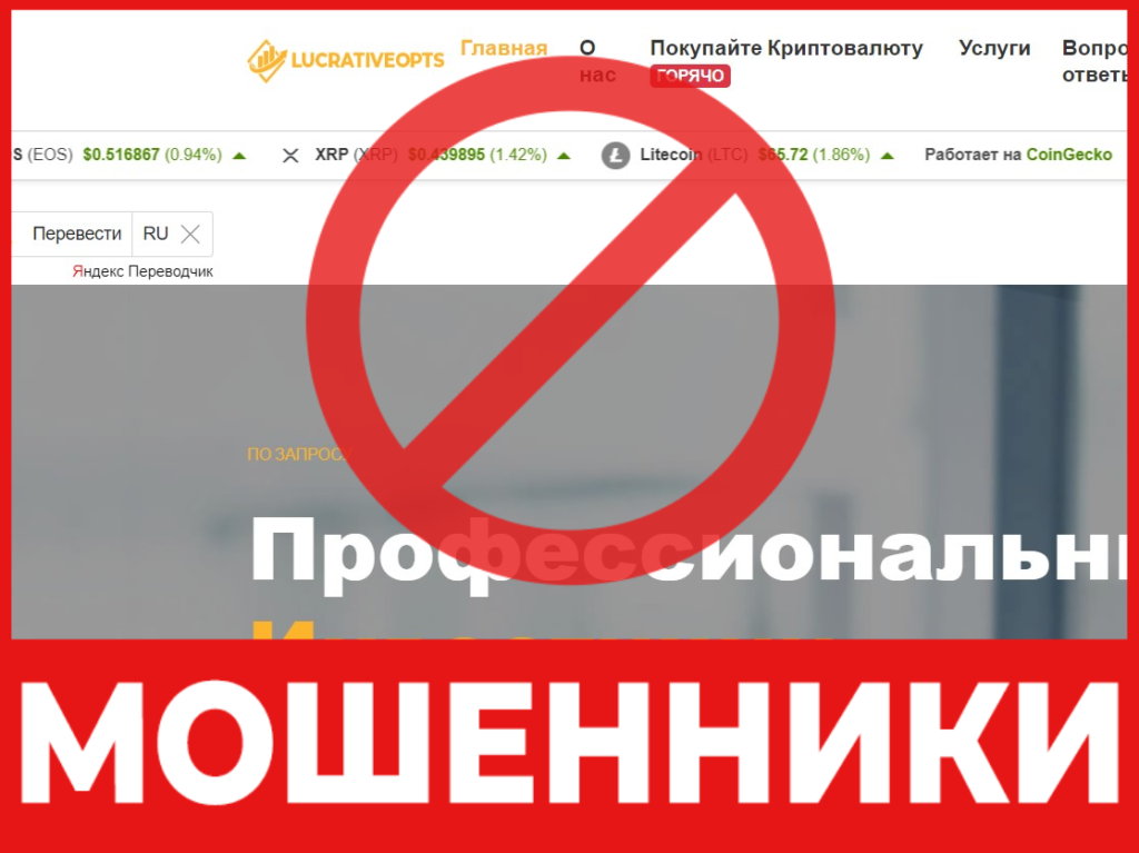 LucrativeOpts лицевая сторона скрин 
