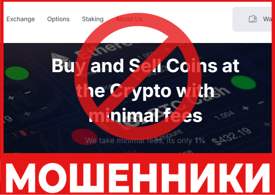 Bitleks лицевая сторона скрин