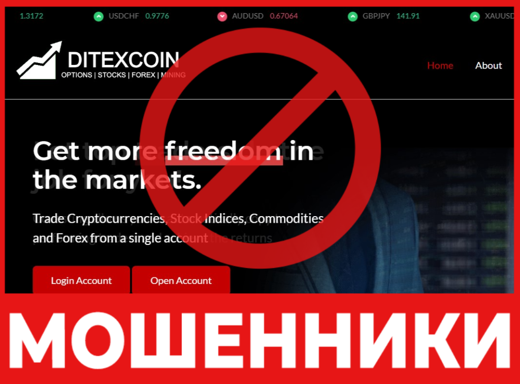 Ditexcoin лицевая сторона скрин