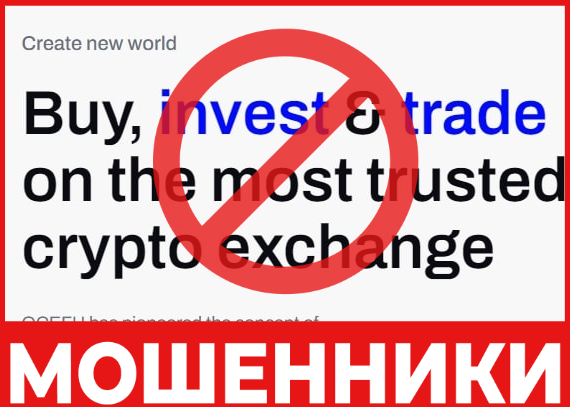 Ocefu лицевая сторона скрин