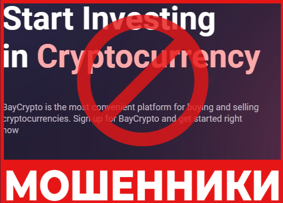 BayCrypto лицевая сторона скрин