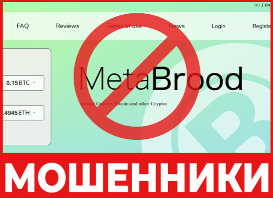 MetaBrood лицевая сторона скрин