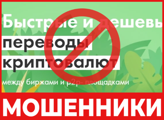 Pandee лицевая сторона скрин