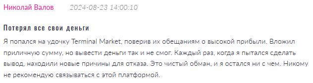 Terminal Market 1 скрин 