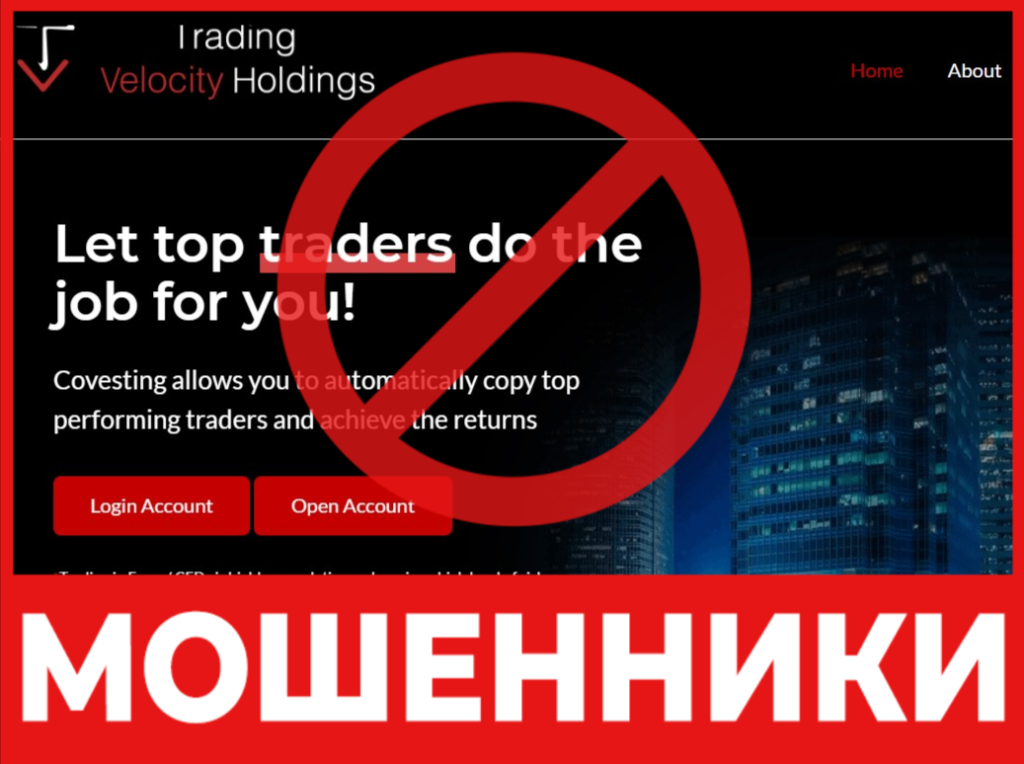 Tradingvelocityholdings лицевая сторона скрин