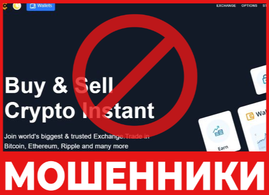 Bitorbi лицевая сторона скрин