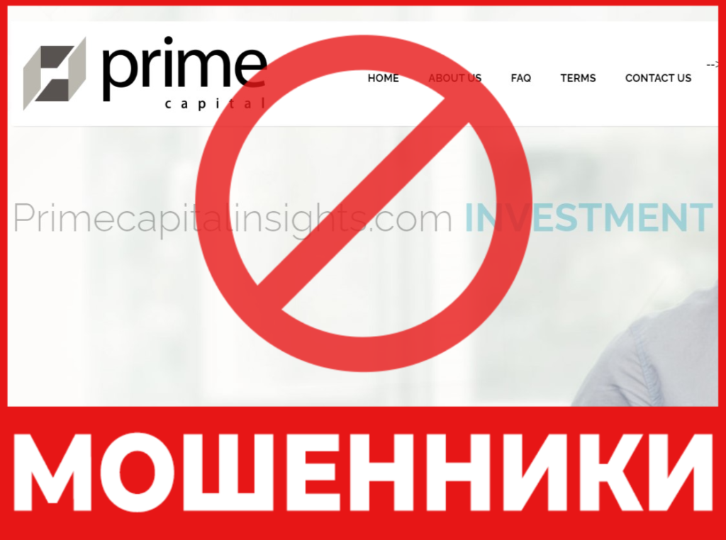 Prime Capital Insights лицевая сторона скрин