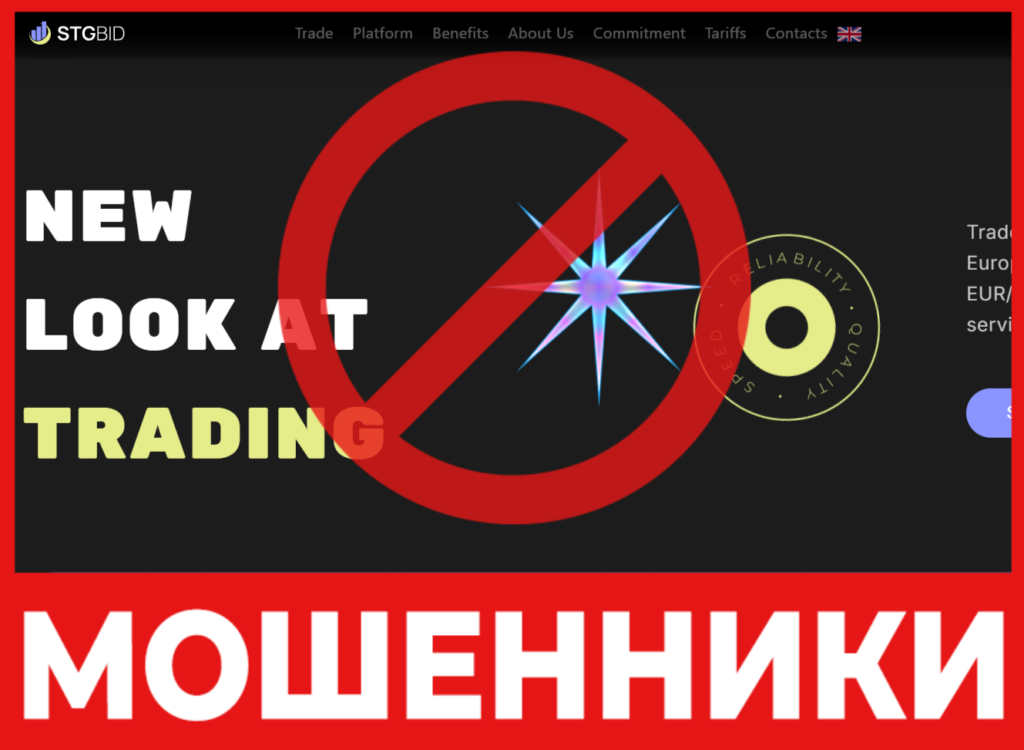 STG Bid лицевая сторона скрин