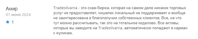 Tradesilvania 1 скрин