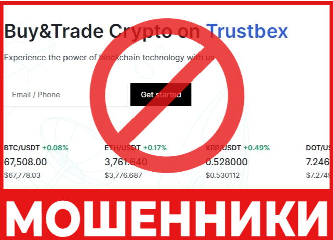 Trustbex лицевая сторона скрин