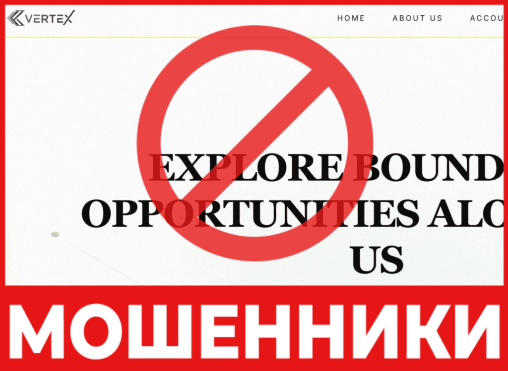 Vertex International Limited лицевая сторона скрин