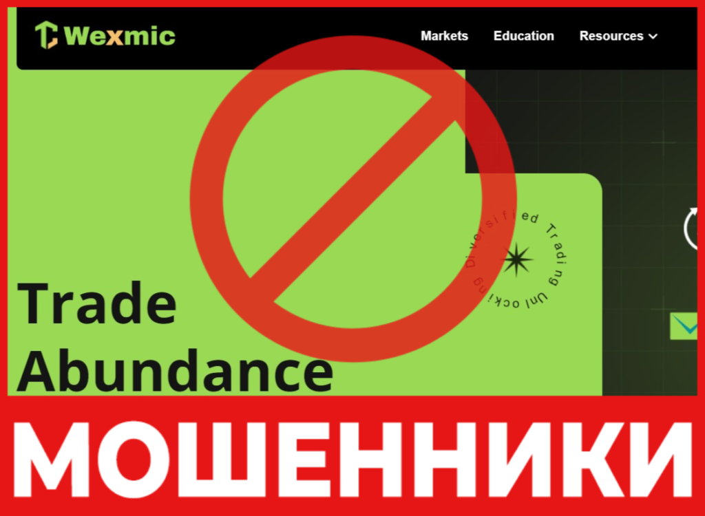 Wexmic лицевая сторона скрин