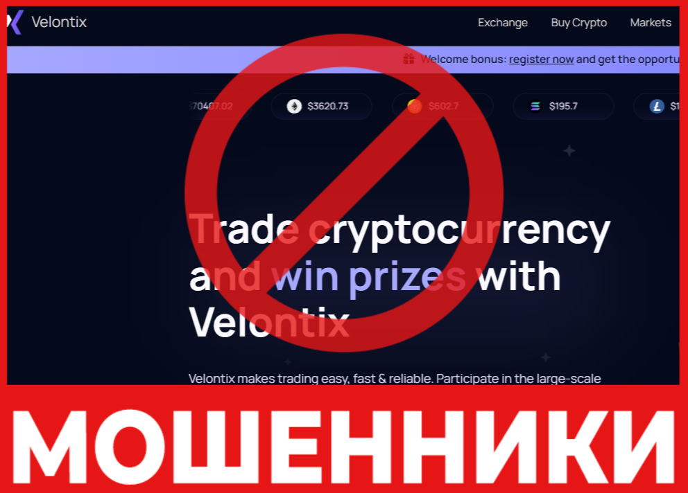 Velontix лицевая сторона скрин