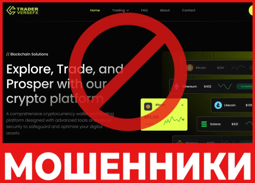 Traderversefx лицевая сторона скрин