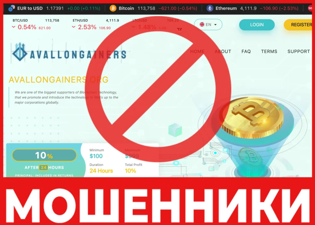 AVALLONGAINERS лицевая сторона скрин