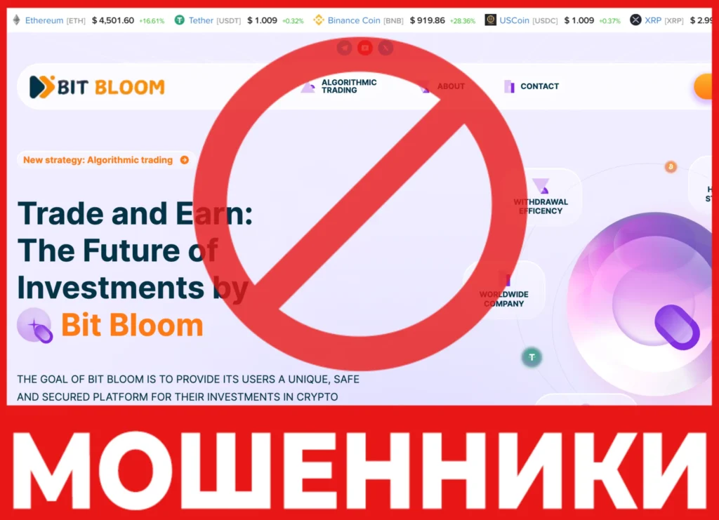 Bit Bloom лицевая сторона скрин