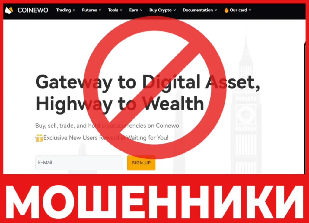 Coinewo лицевая сторона скрин