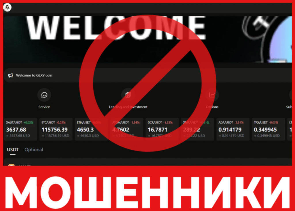 M Boxnmunt лицевая сторона скрин