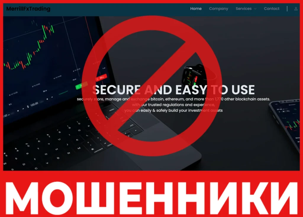 Merrill Fx Trading лицевая сторона скрин