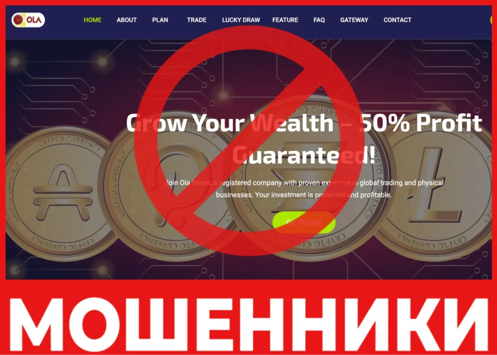 OLA-INVEST лицевая сторона скрин