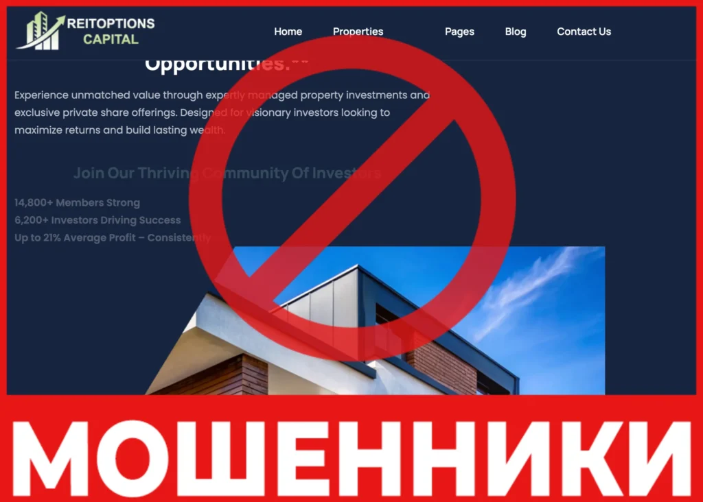 Reitoptions лицевая сторона скрин