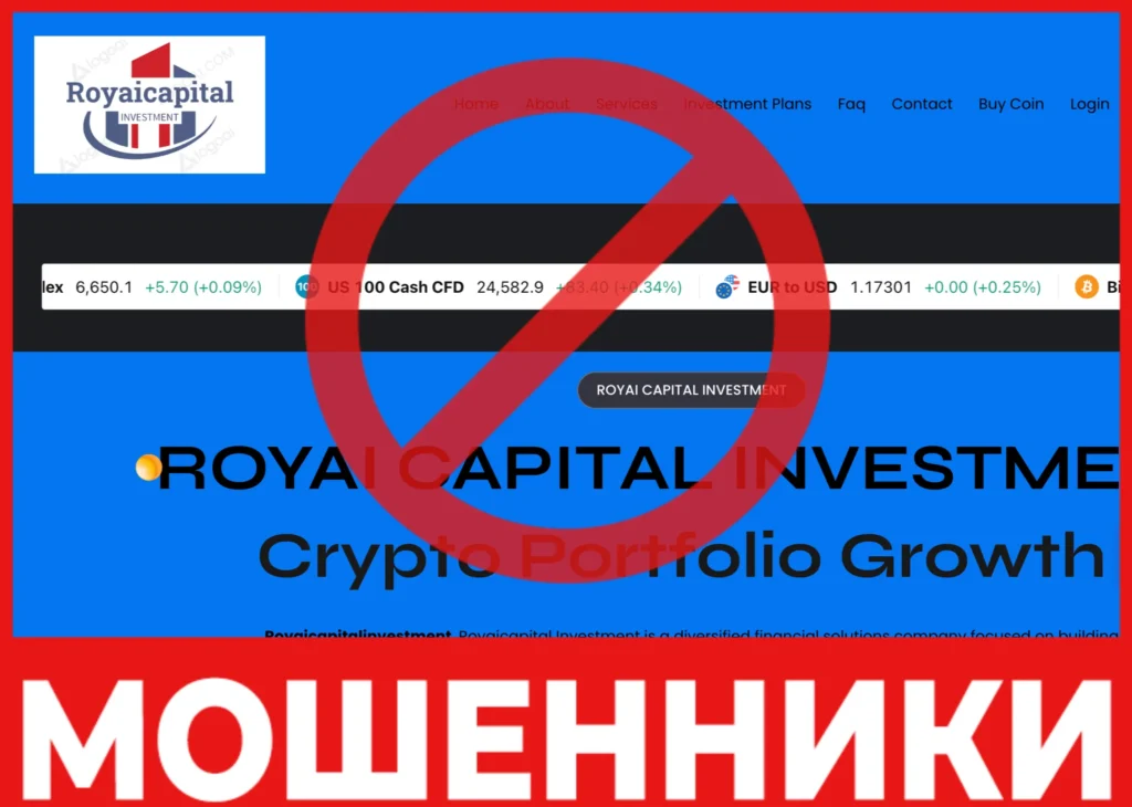 Royaicapital Investment лицевая сторона скрин