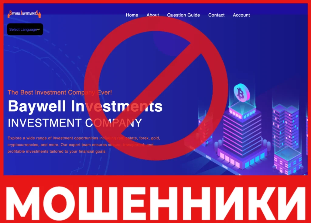 Baywell Investments лицевая сторона скрин