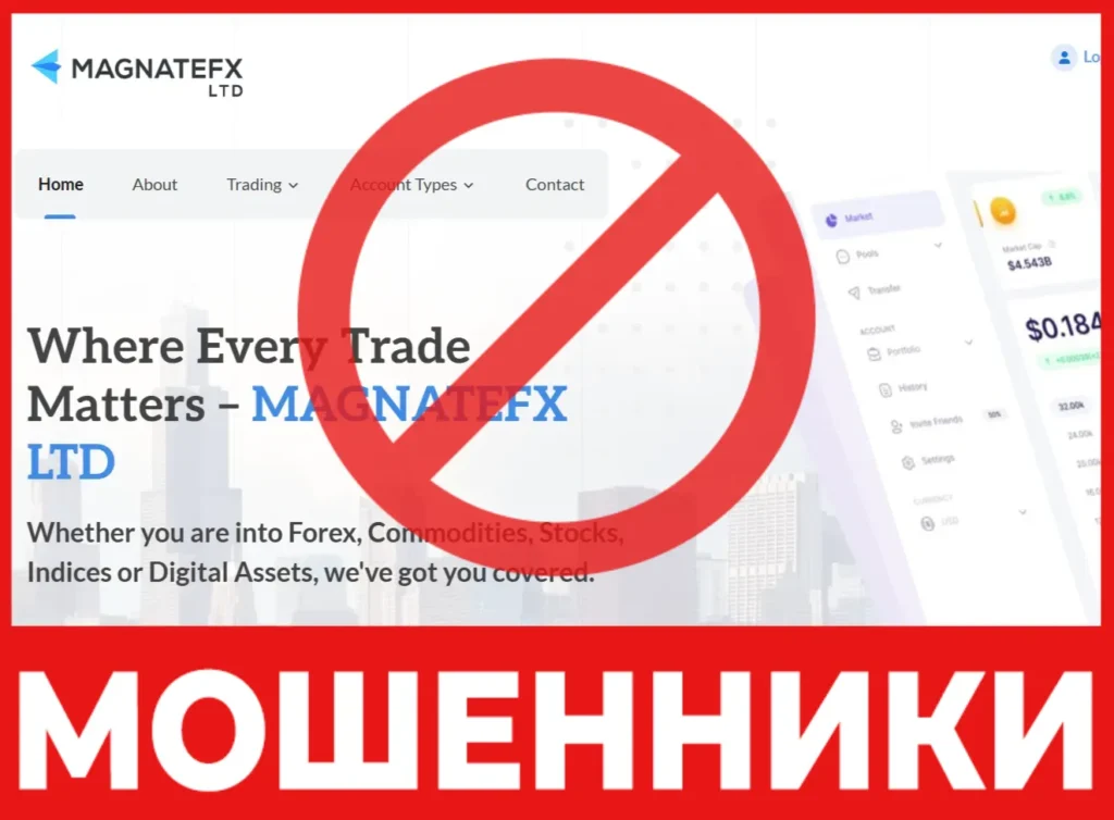 MAGNATEFX LTD лицевая сторона скрин