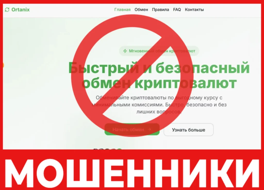 Ortanix лицевая сторона скрин