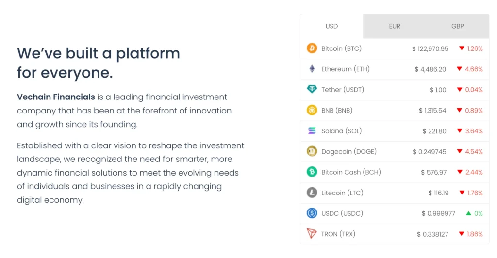 Vechain Financials 1 скрин
