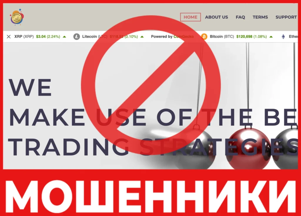 Veloxa Wealth лицевая сторона скрин