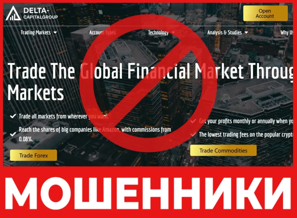 Delta CapitalGroup лицевая сторона скрин