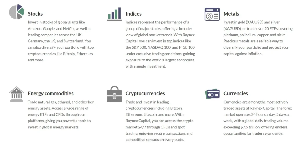 Raynex Capital 1 скрин