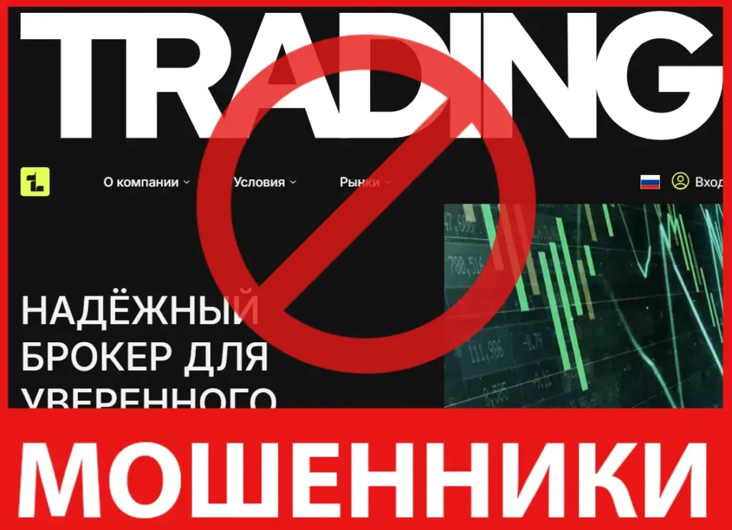 Lifenestco лицевая сторона скрин