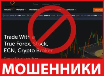 Royaltrusted Trading лицевая сторона скрин