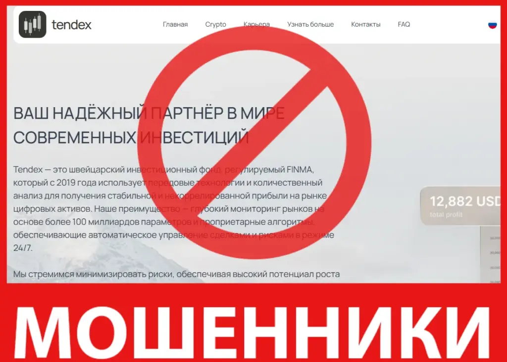 Tendex лицевая сторона скрин