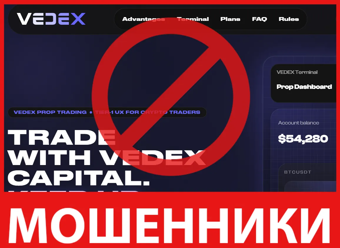 Vedex лицевая сторона скрин