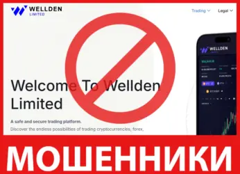 Wellden Limited лицевая сторона скрин