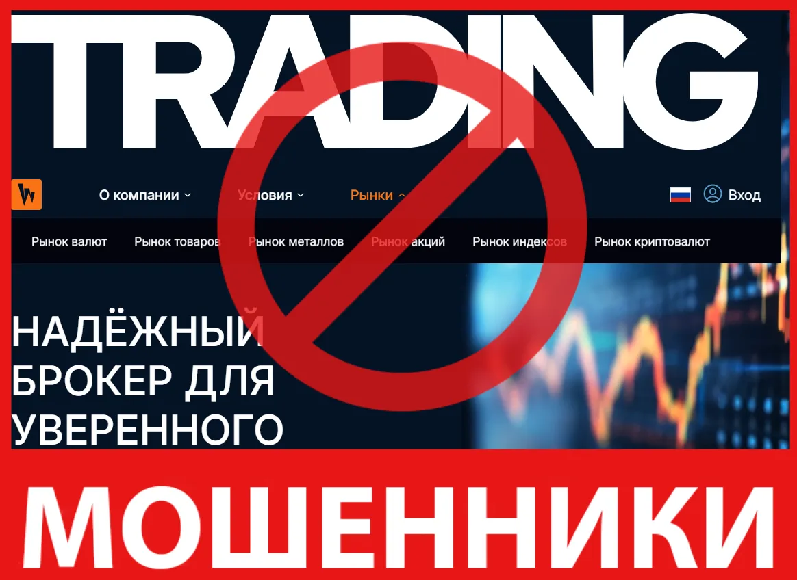 Werdy лицевая сторона скрин