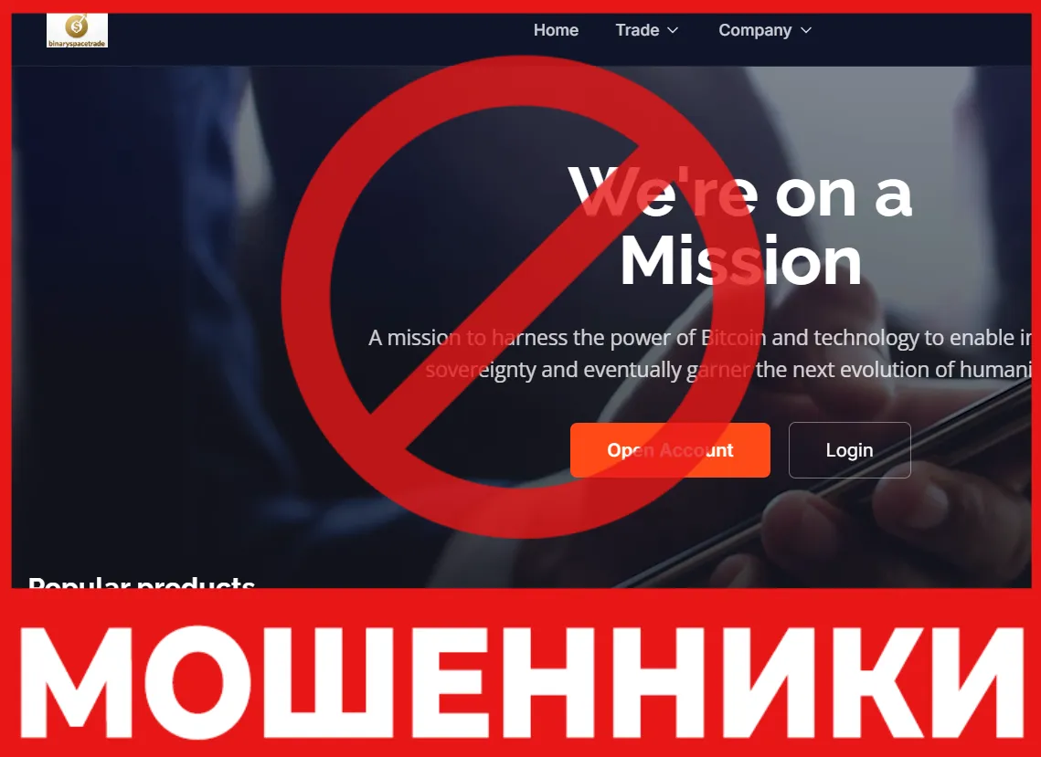 Binary Space Trade лицевая сторона скрин