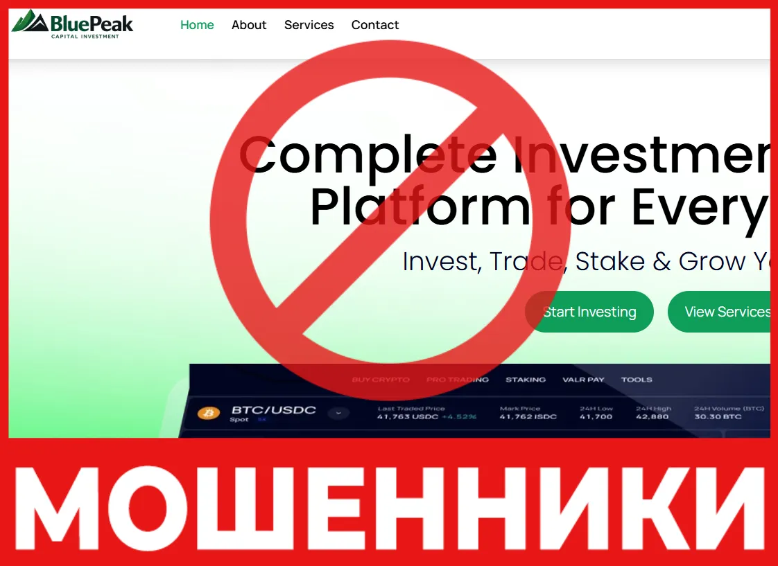 Bluepeakcpital лицевая сторона скрин