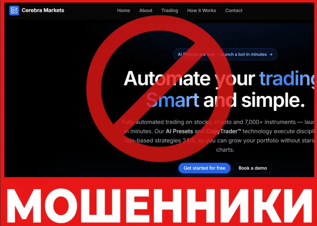 Cerebramarkets лицевая сторона скрин