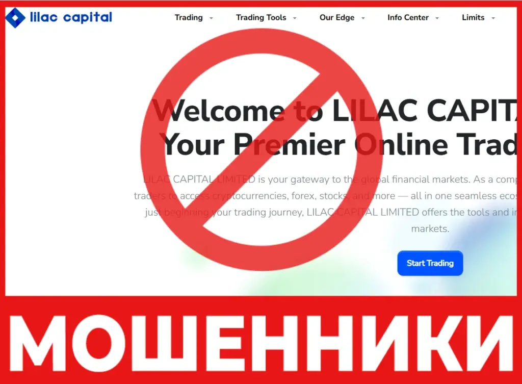 Lilac Capital лицевая сторона скрин