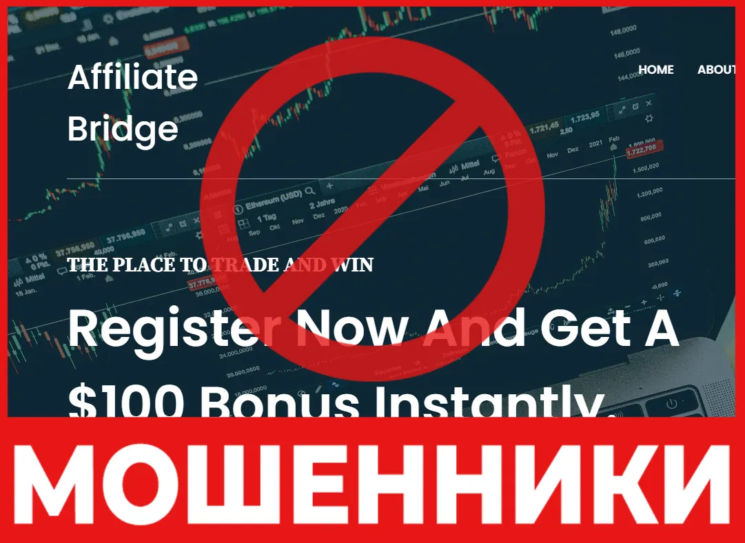 Affiliate Bridge Marketing лицевая сторона скрин