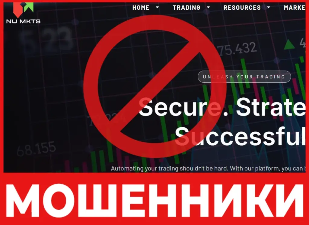 Numkts-лицевая-сторона скрин